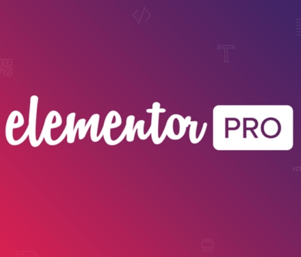 Elementor Pro WordPress Plugin