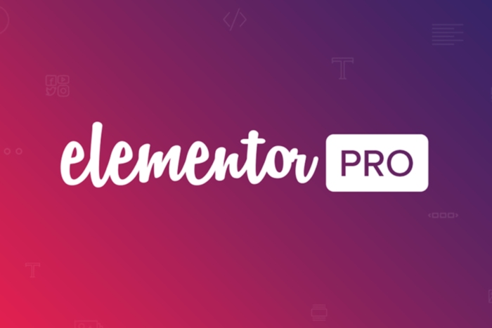 Elementor Pro WordPress Plugin