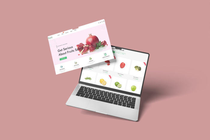 Ognic Shopify Theme