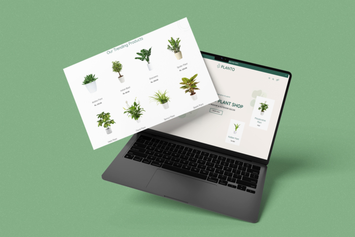 Planto Shopify Theme