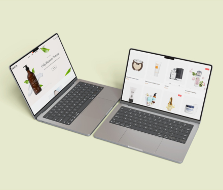 Venia Shopify Theme